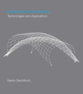 Bechthold |  Innovative Surface Structures | Buch |  Sack Fachmedien