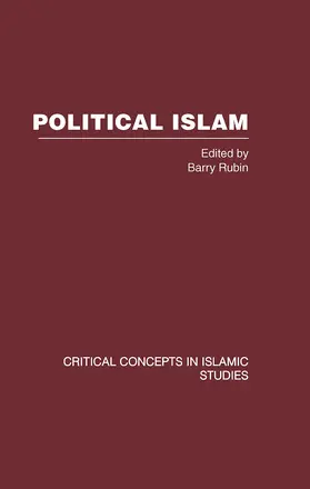 Rubin |  Political Islam | Buch |  Sack Fachmedien