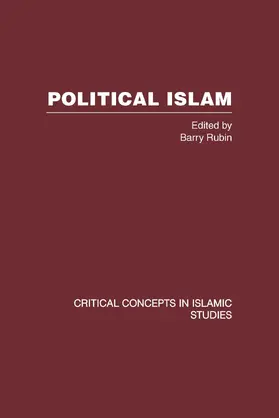 Rubin |  Political Islam | Buch |  Sack Fachmedien
