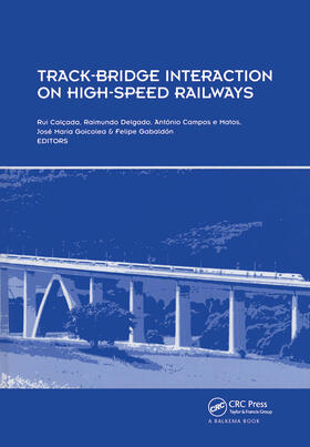 Calcada / Delgado / Campos e Matos | Track-Bridge Interaction on High-Speed Railways | Buch | 978-0-415-45774-3 | sack.de