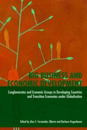 Hogenboom / Fernández Jilberto |  Big Business and Economic Development | Buch |  Sack Fachmedien
