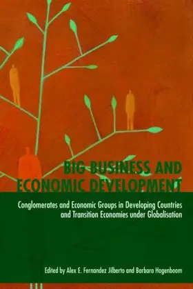 Hogenboom / Fernández Jilberto | Big Business and Economic Development | Buch | 978-0-415-46461-1 | sack.de