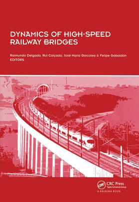 Delgado / Calcada / Goicolea | Dynamics of High-Speed Railway Bridges | Buch | 978-0-415-46767-4 | sack.de