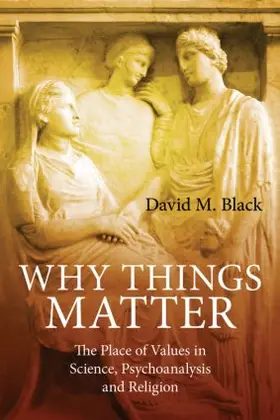 Black |  Why Things Matter | Buch |  Sack Fachmedien