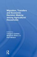 Carletto / Davis / Winters |  Migration, Transfers and Economic Decision Making among Agricultural Households | Buch |  Sack Fachmedien