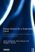 Giampietro / Mayumi / Sorman |  Energy Analysis for a Sustainable Future | Buch |  Sack Fachmedien