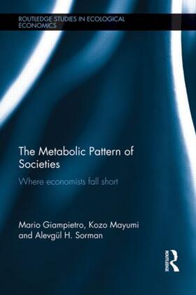 Giampietro / Mayumi / Sorman |  The Metabolic Pattern of Societies | Buch |  Sack Fachmedien