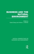 Georg / Hoffman |  Business and the Natural Environment | Buch |  Sack Fachmedien