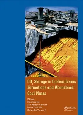 He / Ribeiro e Sousa / Elsworth |  CO2 Storage in Carboniferous Formations and Abandoned Coal Mines | Buch |  Sack Fachmedien