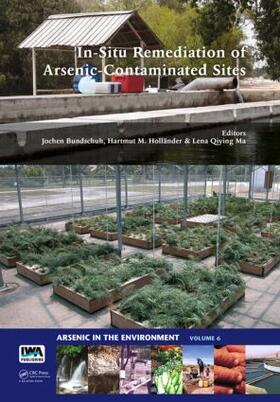 Bundschuh / Holländer / Ma | In-Situ Remediation of Arsenic-Contaminated Sites | Buch | 978-0-415-62085-7 | sack.de