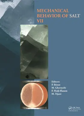 Bérest / Ghoreychi / Hadj-Hassen | Mechanical Behaviour of Salt VII | Buch | 978-0-415-62122-9 | www.sack.de
