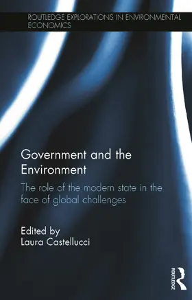 Castellucci |  Government and the Environment | Buch |  Sack Fachmedien