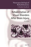 Zihl |  Rehabilitation of Visual Disorders After Brain Injury | Buch |  Sack Fachmedien