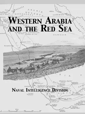 Western Arabia and The Red Sea | Buch | 978-0-415-65321-3 | www.sack.de