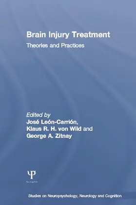 Leon-Carrion / von Wild / Zitnay |  Brain Injury Treatment | Buch |  Sack Fachmedien