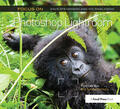 Stevenson / Rawlinson |  Focus on Photoshop Lightroom | Buch |  Sack Fachmedien