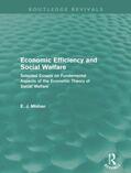 Mishan |  Economic Efficiency and Social Welfare (Routledge Revivals) | Buch |  Sack Fachmedien