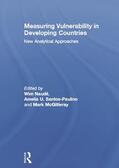 Naude / Santos-Paulino / McGillivray |  Measuring Vulnerability in Developing Countries | Buch |  Sack Fachmedien