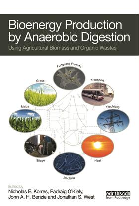 Korres / O'Kiely / Benzie | Bioenergy Production by Anaerobic Digestion | Buch | 978-0-415-69840-5 | sack.de
