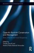 Darvill / Batarda Fernandes |  Open-Air Rock-Art Conservation and Management | Buch |  Sack Fachmedien