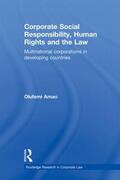 Amao |  Corporate Social Responsibility, Human Rights and the Law | Buch |  Sack Fachmedien