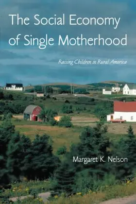 Nelson |  The Social Economy of Single Motherhood | Buch |  Sack Fachmedien