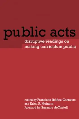 Ibáñez-Carrasco / Meiners | Public Acts | Buch | 978-0-415-94840-1 | www.sack.de