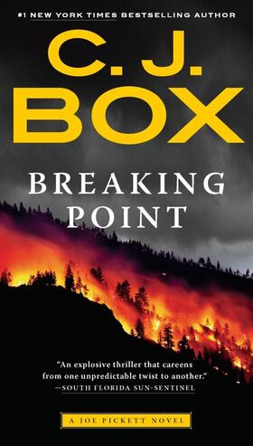 Box |  Breaking Point | Buch |  Sack Fachmedien