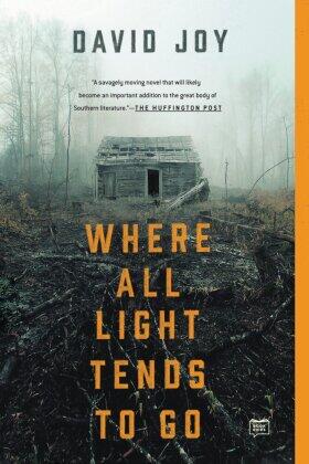 Joy |  Where All Light Tends to Go | Buch |  Sack Fachmedien