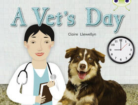 Llewellyn |  Bug Club Guided Non Fiction Year 1 Green B A Vet's Day | Buch |  Sack Fachmedien