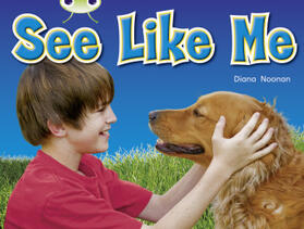 Noonan |  Bug Club Guided Non Fiction Reception Red 1 See Like Me | Buch |  Sack Fachmedien