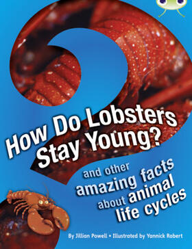 Powell |  Bug Club Independent Non Fiction Year 3 Brown A How Do Lobsters Stay Young? | Buch |  Sack Fachmedien