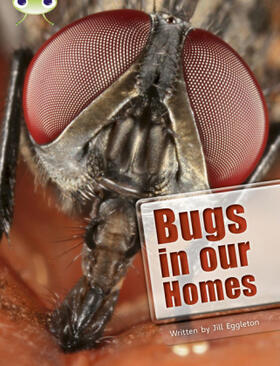 Eggleton |  Bug Club Independent Non Fiction Year Two Lime A Bugs in our Homes | Buch |  Sack Fachmedien