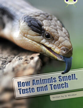 Windsor |  Bug Club Independent Non Fiction Year Two White A How Animals Smell, Taste and Touch | Buch |  Sack Fachmedien