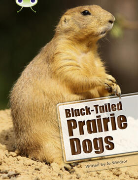 Windsor |  Bug Club Independent Non Fiction Year Two White B Black-tailed Prairie Dogs | Buch |  Sack Fachmedien