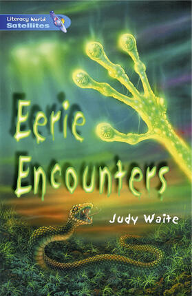  Literacy World Satellites Fiction Stage 4 Short Stories 2 | Buch |  Sack Fachmedien