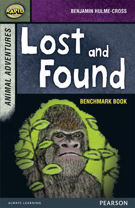 Reid / Hulme-Cross | Rapid Stage 7 Assessment book: Lost and Found | Buch | 978-0-435-15229-1 | www.sack.de