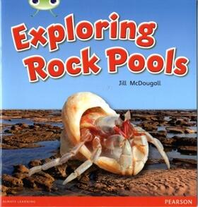 Mcdougall |  Bug Club Guided Non Fiction Year 1 Green C Exploring Rock Pools | Buch |  Sack Fachmedien