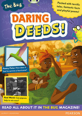 Pearson / Irving / Dhami |  Bug Club Pro Guided Y4 Daring Deeds | Buch |  Sack Fachmedien