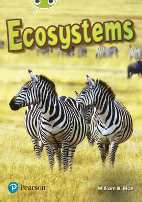 Rice |  Bug Club Independent Non Fiction Year Two Lime Plus A Ecosystems | Buch |  Sack Fachmedien