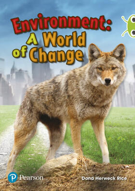 Rice |  Bug Club Independent Non Fiction Year Two Lime Plus Environment A World of Change | Buch |  Sack Fachmedien