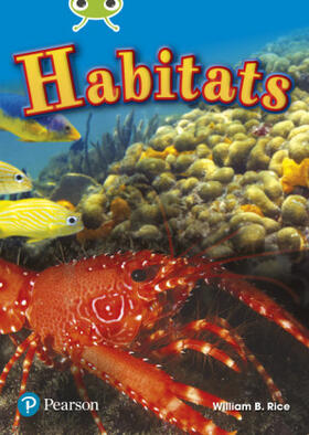 Rice |  Bug Club Independent Non Fiction Year Two Lime Plus Non Fiction Habitats | Buch |  Sack Fachmedien