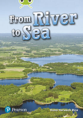 Rice |  Bug Club Lime Plus A NF From River to Sea | Buch |  Sack Fachmedien