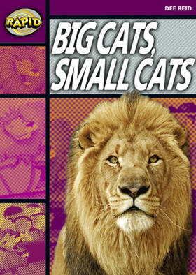 Reid |  Rapid Reading: Big Cats Small Cats (Stage 1, Level 1a) | Buch |  Sack Fachmedien