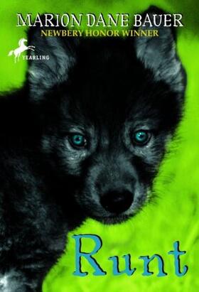 Bauer |  Runt | Buch |  Sack Fachmedien