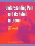Moore |  Understanding Pain and Its Relief in Labour | Buch |  Sack Fachmedien