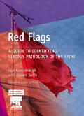 Greenhalgh / Selfe |  Red Flags: A Guide to Identifying Serious Pathology of the Spine | Buch |  Sack Fachmedien