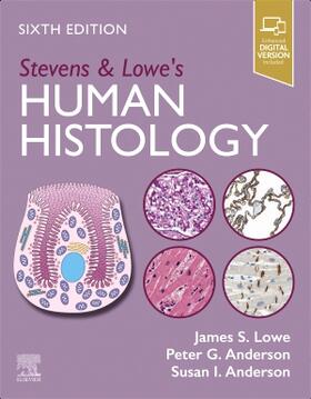 Lowe / Anderson | Stevens & Lowe's Human Histology | Buch | 978-0-443-10970-6 | sack.de