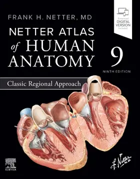 Netter | Netter Atlas of Human Anatomy: Classic Regional Approach | Buch | 978-0-443-11868-5 | sack.de