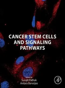 Pathak / Banerjee |  Cancer Stem Cells and Signaling Pathways | eBook | Sack Fachmedien